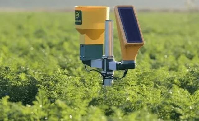 三院士同台共议极端气候下未来农业发展：人工智能或是突破
